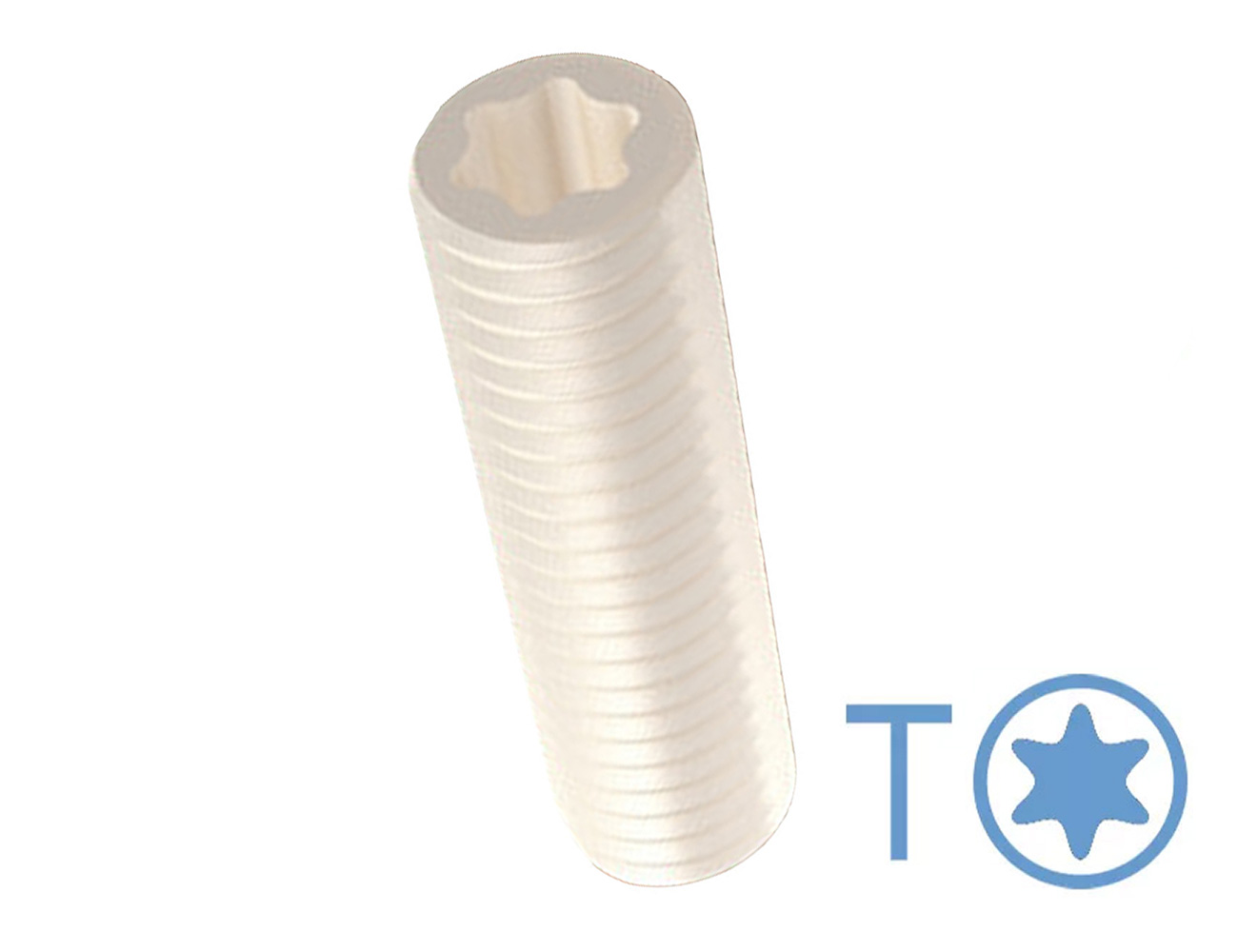 Stelschroef met Torx – DIN 913 (ISO 4026) - kunststof